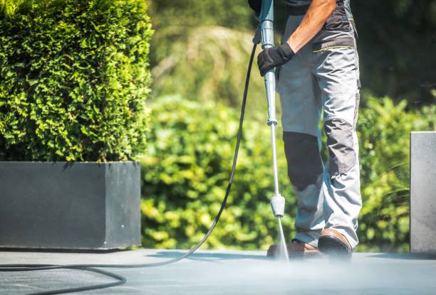 Best Driveway Pressure Washing  in Green Island, NY